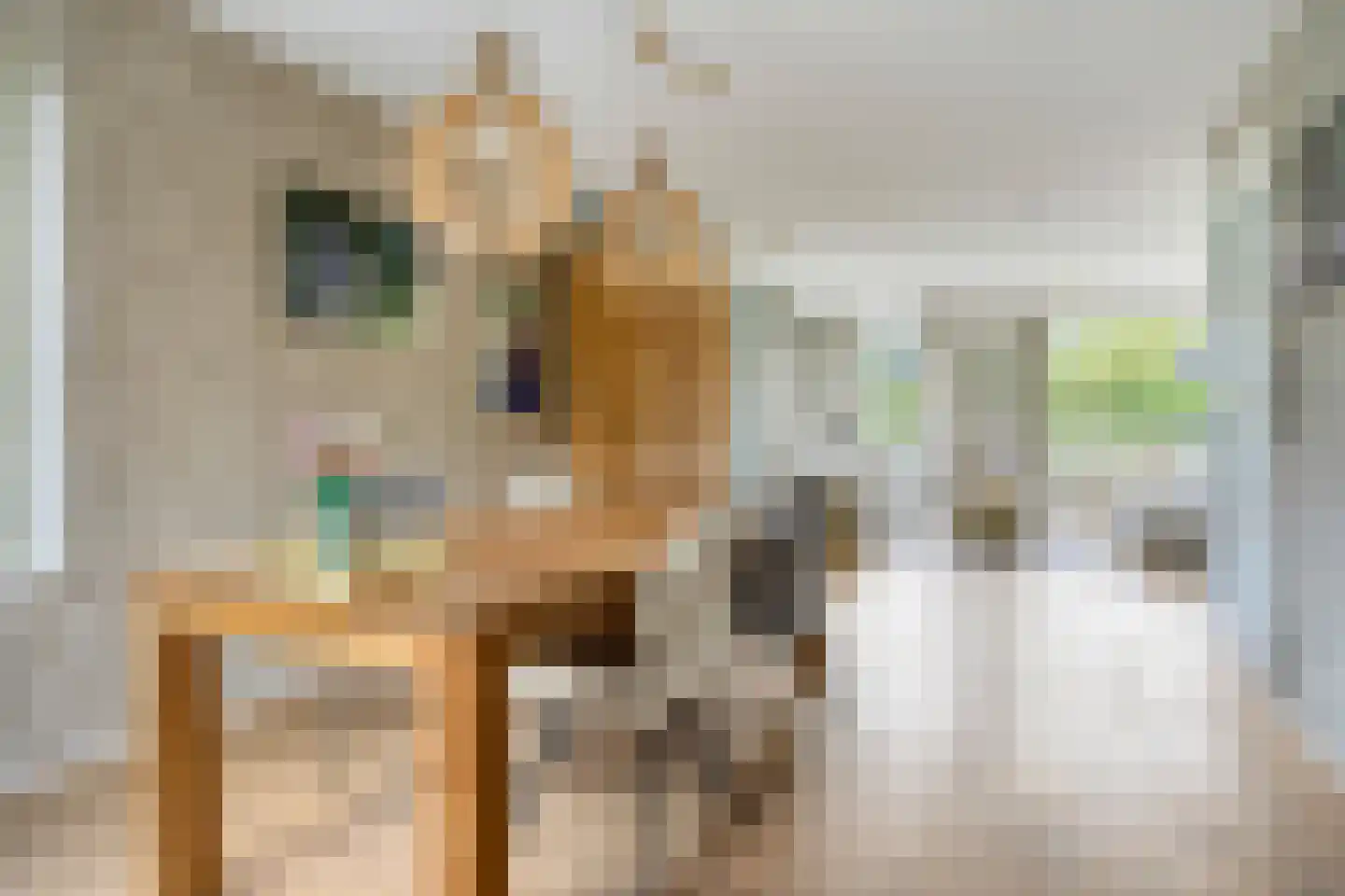 Mantelappel 35 Hoogezand thumbnail 9