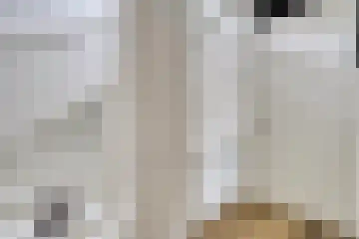 Manteletruwe 10 Maastricht thumbnail 14
