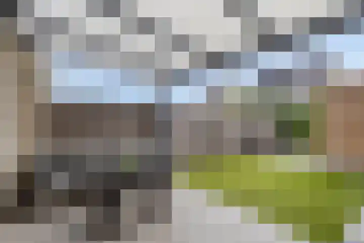 Manteletruwe 10 Maastricht thumbnail 25