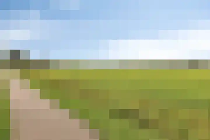 Manteletruwe 10 Maastricht thumbnail 31