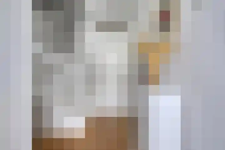 Manteletruwe 10 Maastricht thumbnail 4
