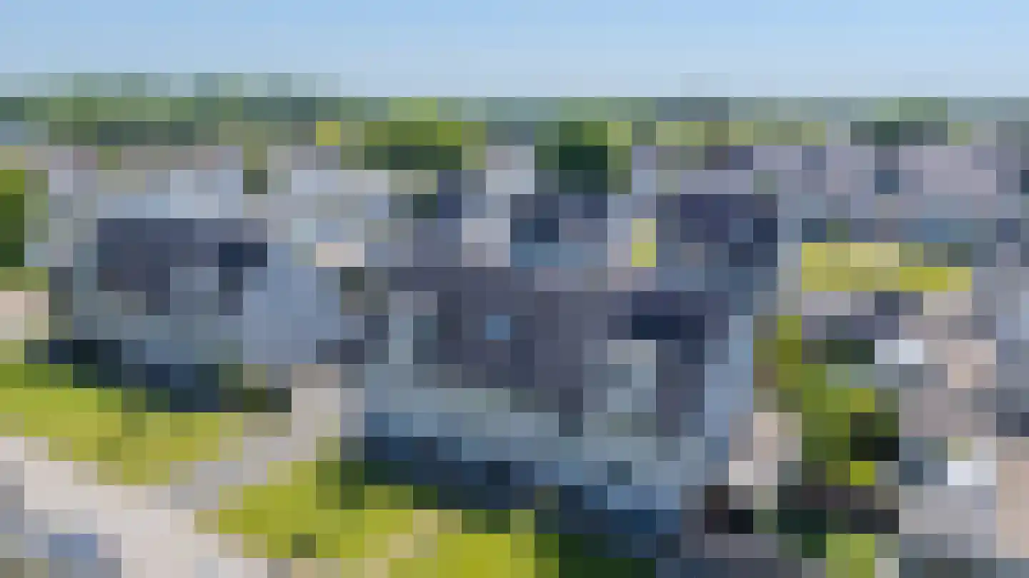 Manteletruwe 10 Maastricht thumbnail 6