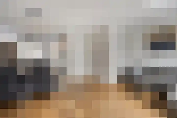 Manteletruwe 10 Maastricht thumbnail 8