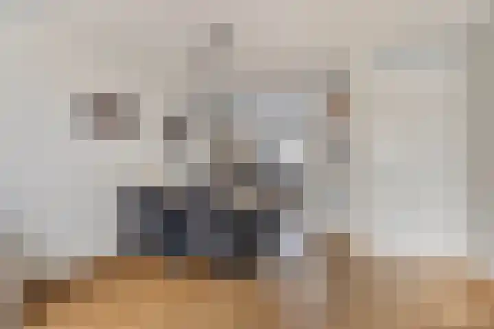 Manteletruwe 10 Maastricht thumbnail 9