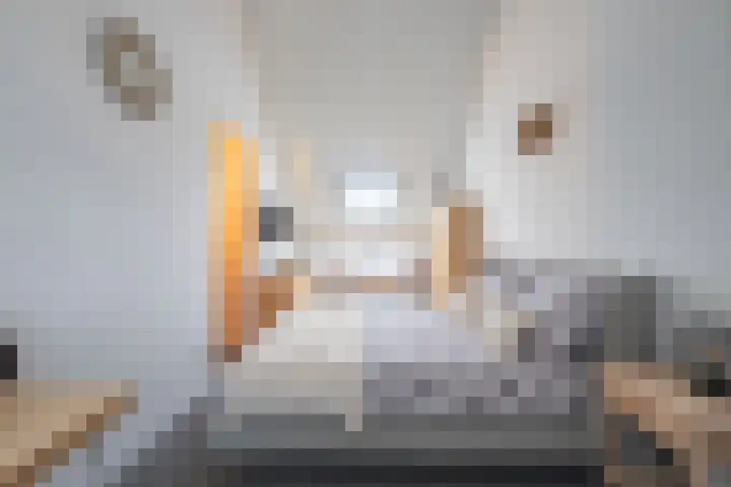 Manteletruwe 15 Maastricht thumbnail 17