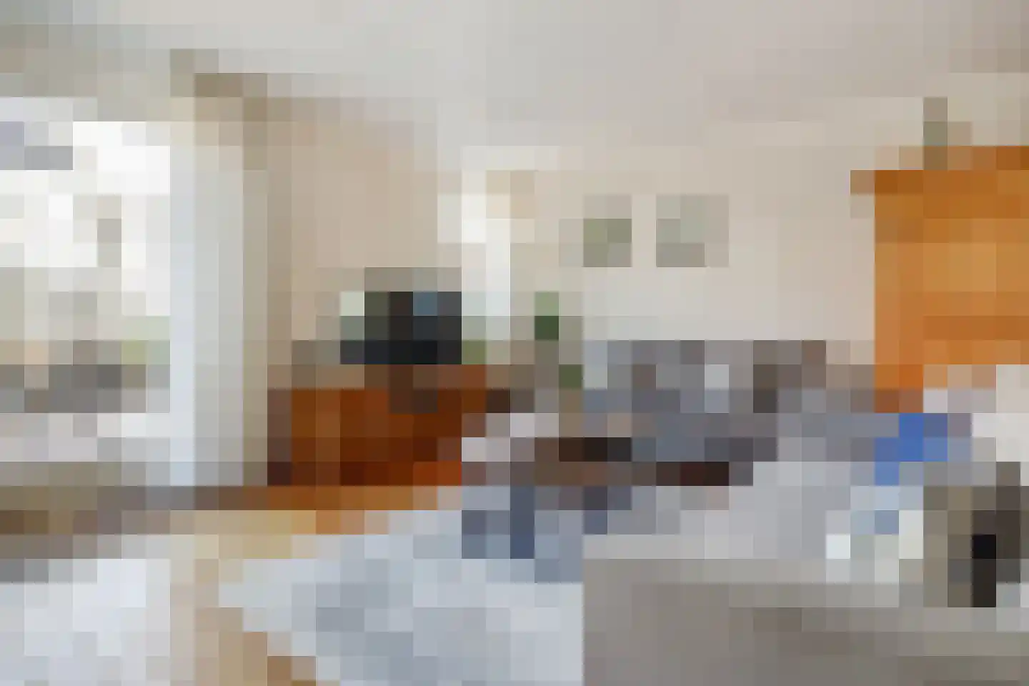 Mantelmeeuw 14 De Lier thumbnail 10