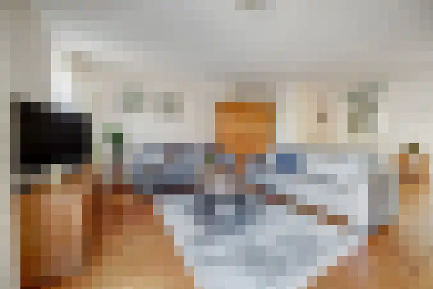 Mantelmeeuw 14 De Lier thumbnail 11
