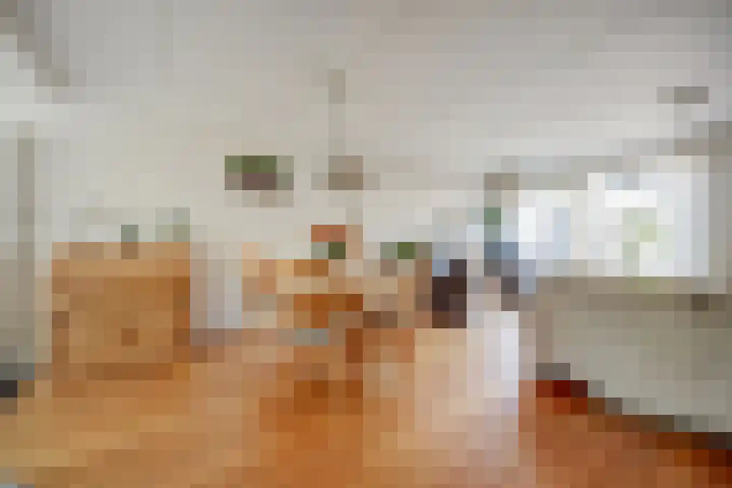Mantelmeeuw 14 De Lier thumbnail 14