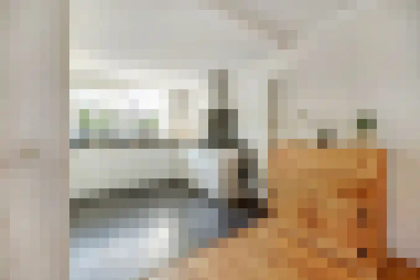 Mantelmeeuw 14 De Lier thumbnail 17