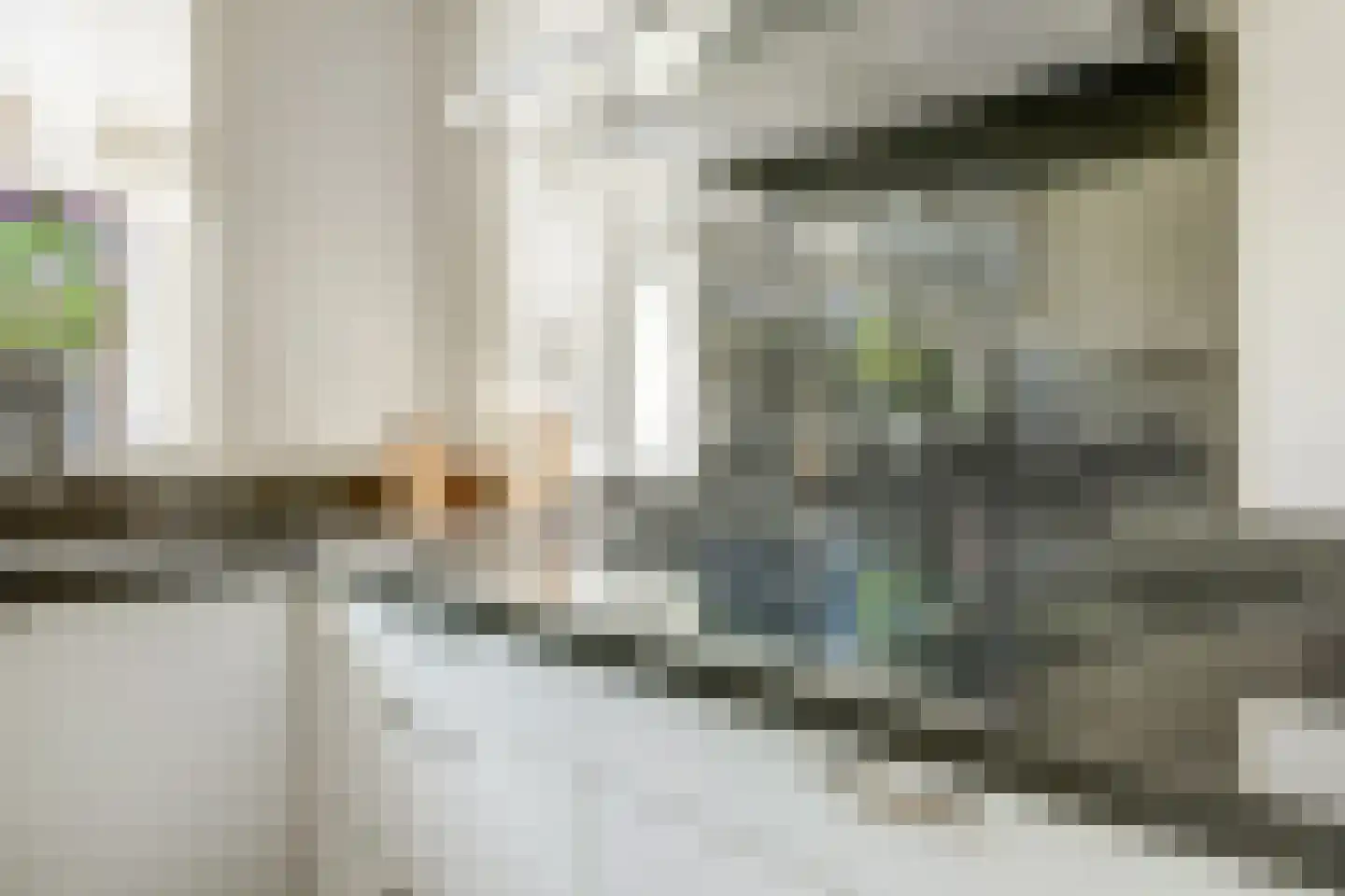 Mantelmeeuw 14 De Lier thumbnail 19