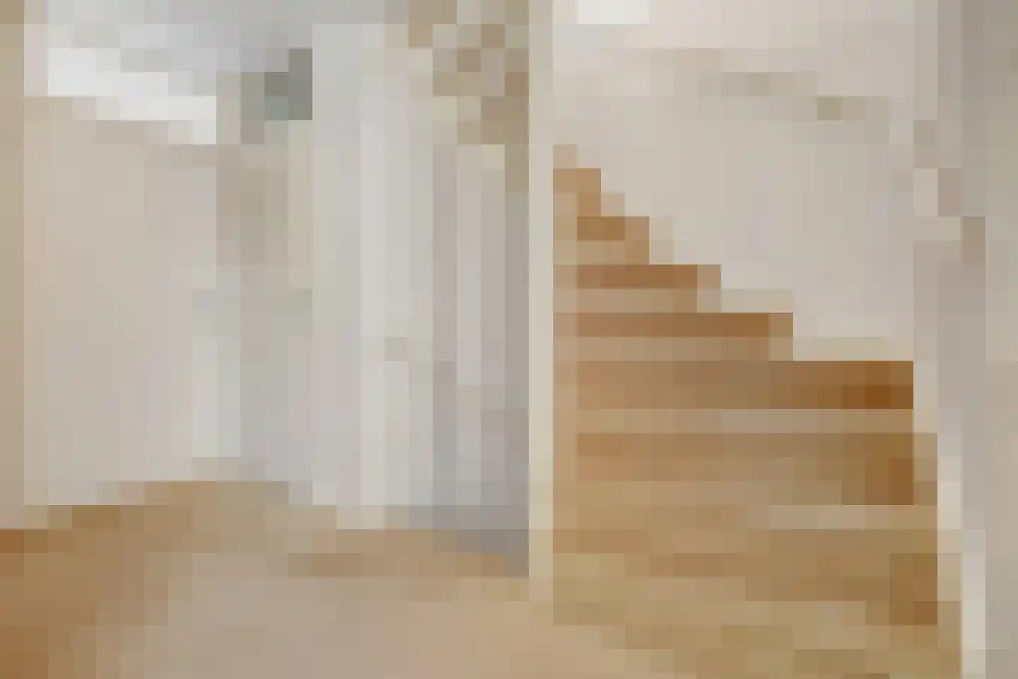 Mantelmeeuw 14 De Lier thumbnail 20