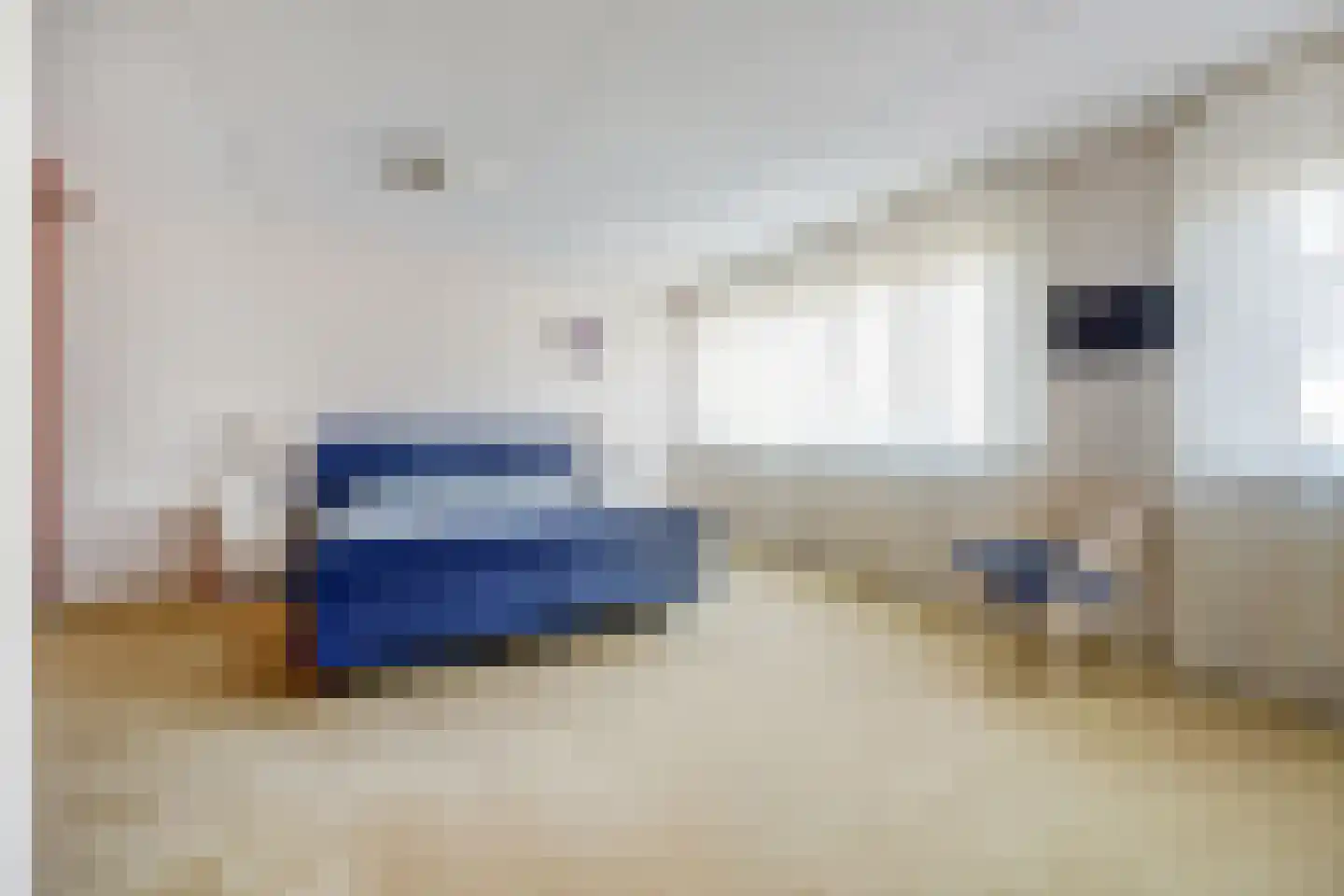 Mantelmeeuw 14 De Lier thumbnail 21