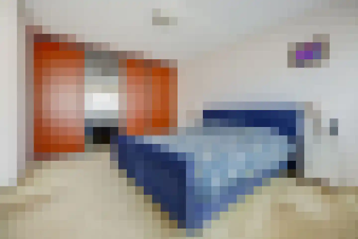 Mantelmeeuw 14 De Lier thumbnail 22