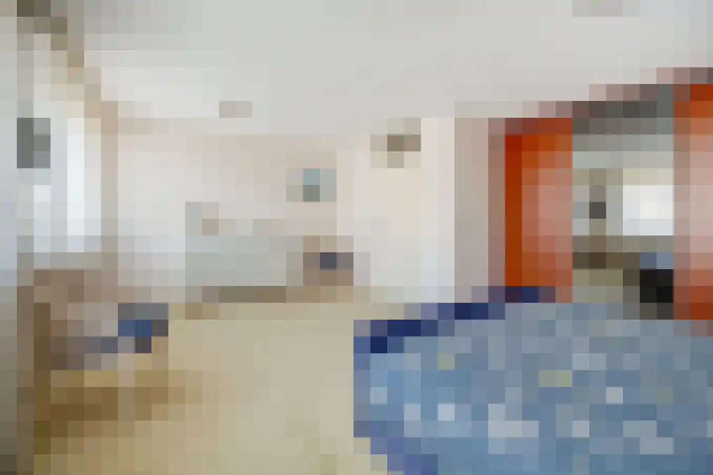 Mantelmeeuw 14 De Lier thumbnail 23
