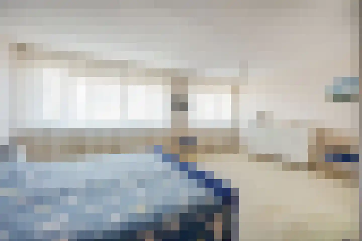 Mantelmeeuw 14 De Lier thumbnail 24