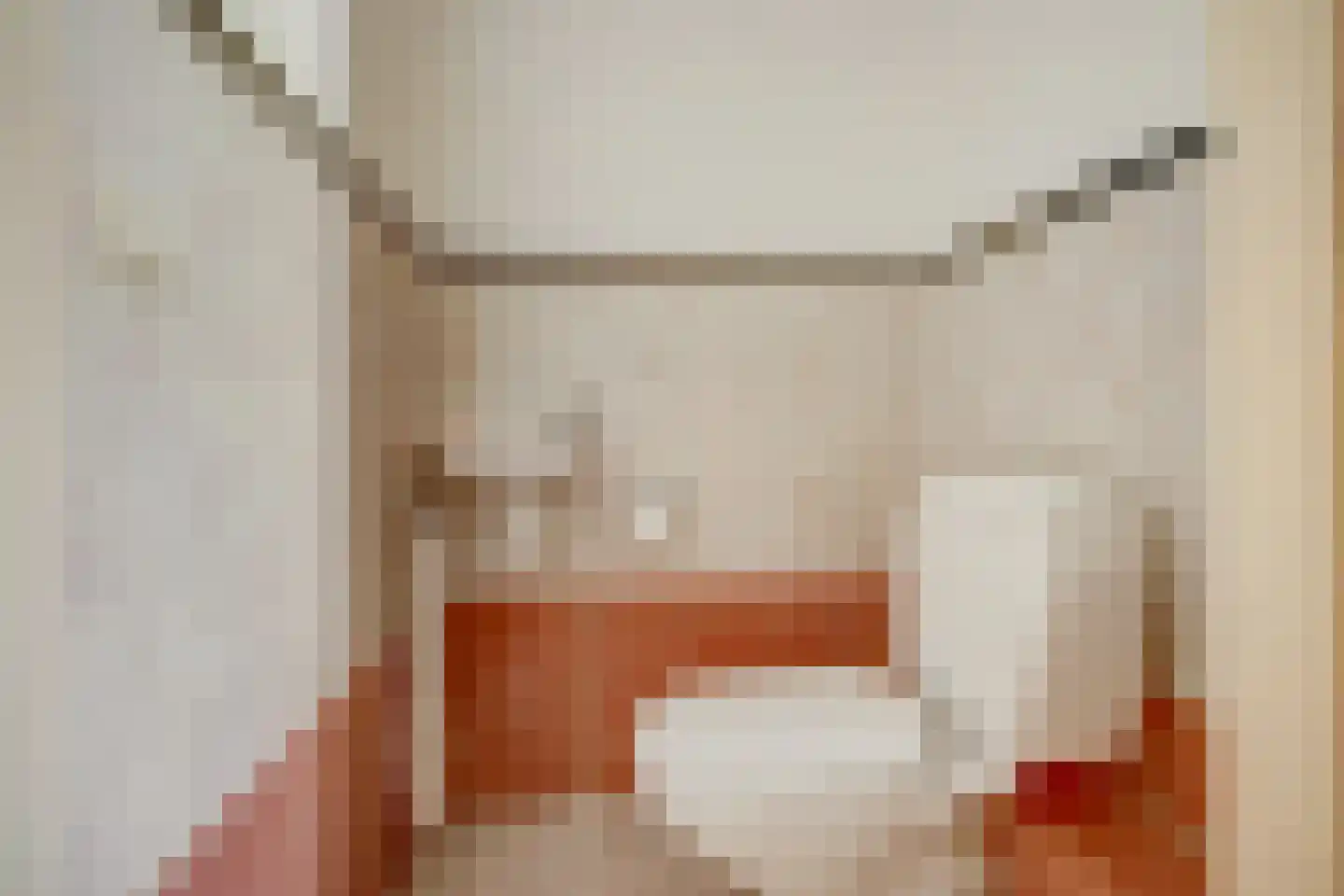 Mantelmeeuw 14 De Lier thumbnail 25