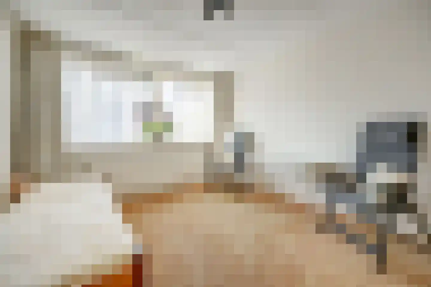 Mantelmeeuw 14 De Lier thumbnail 26