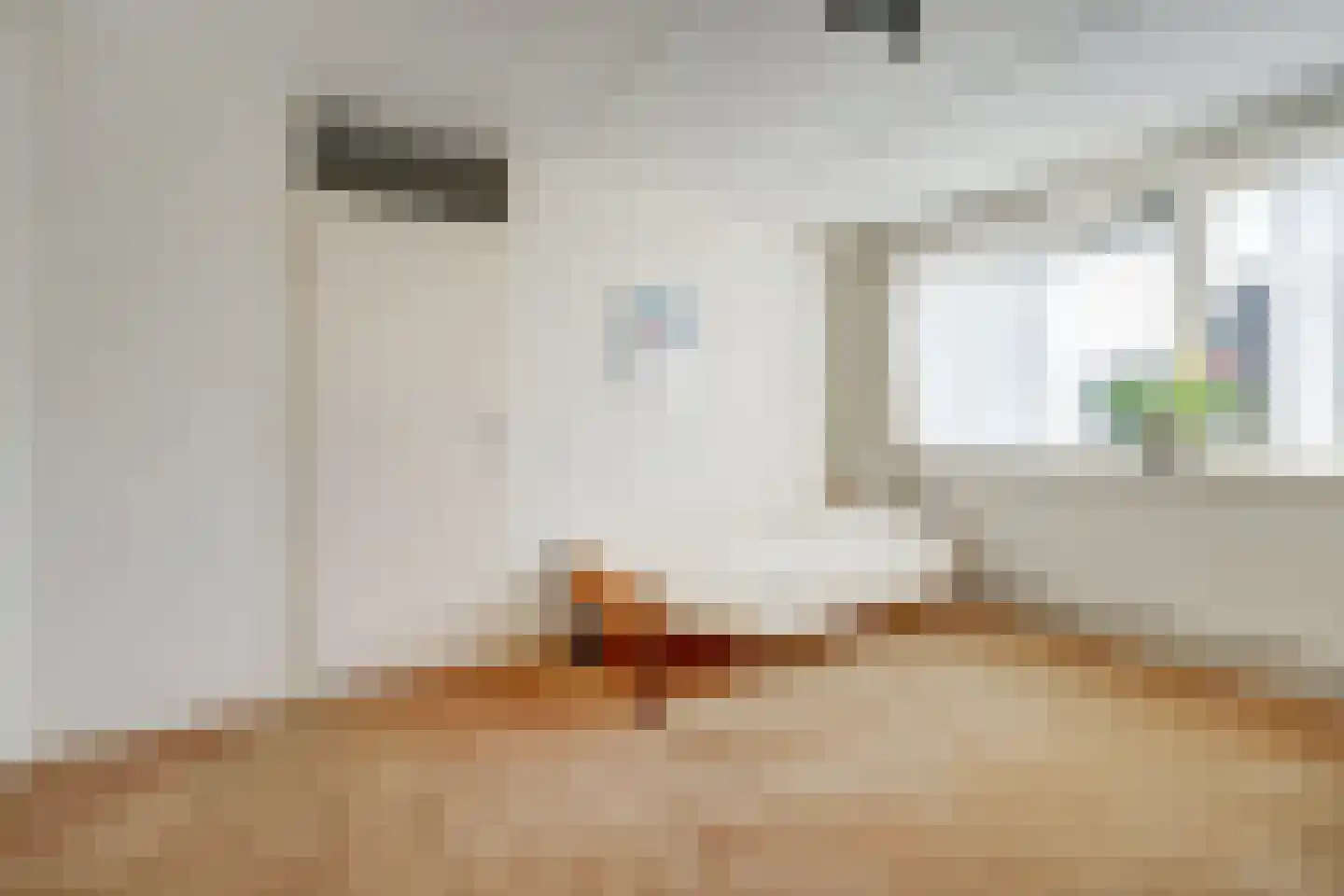 Mantelmeeuw 14 De Lier thumbnail 27