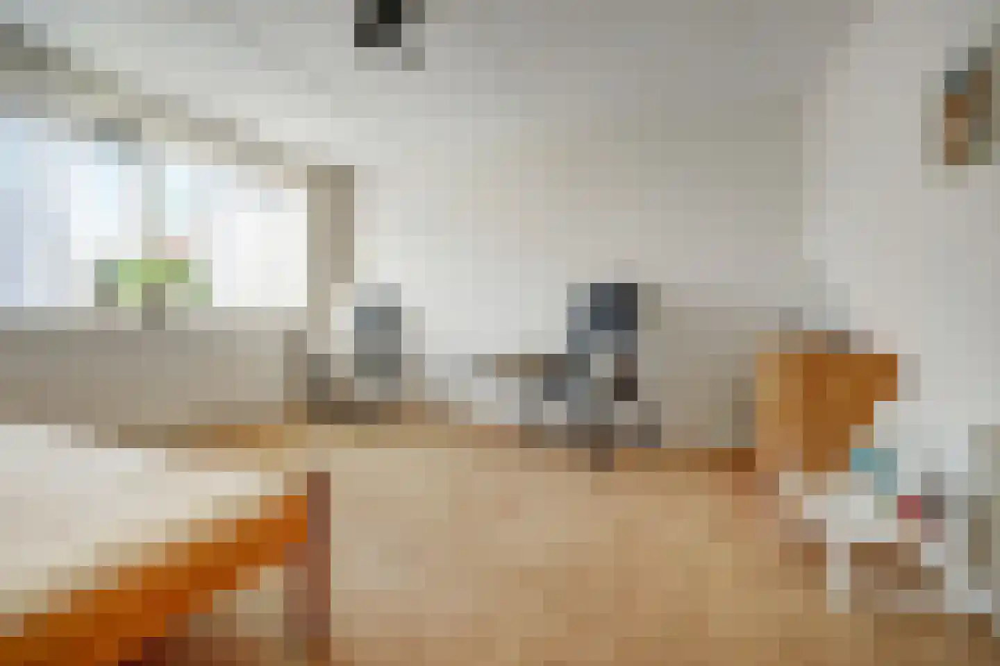 Mantelmeeuw 14 De Lier thumbnail 28