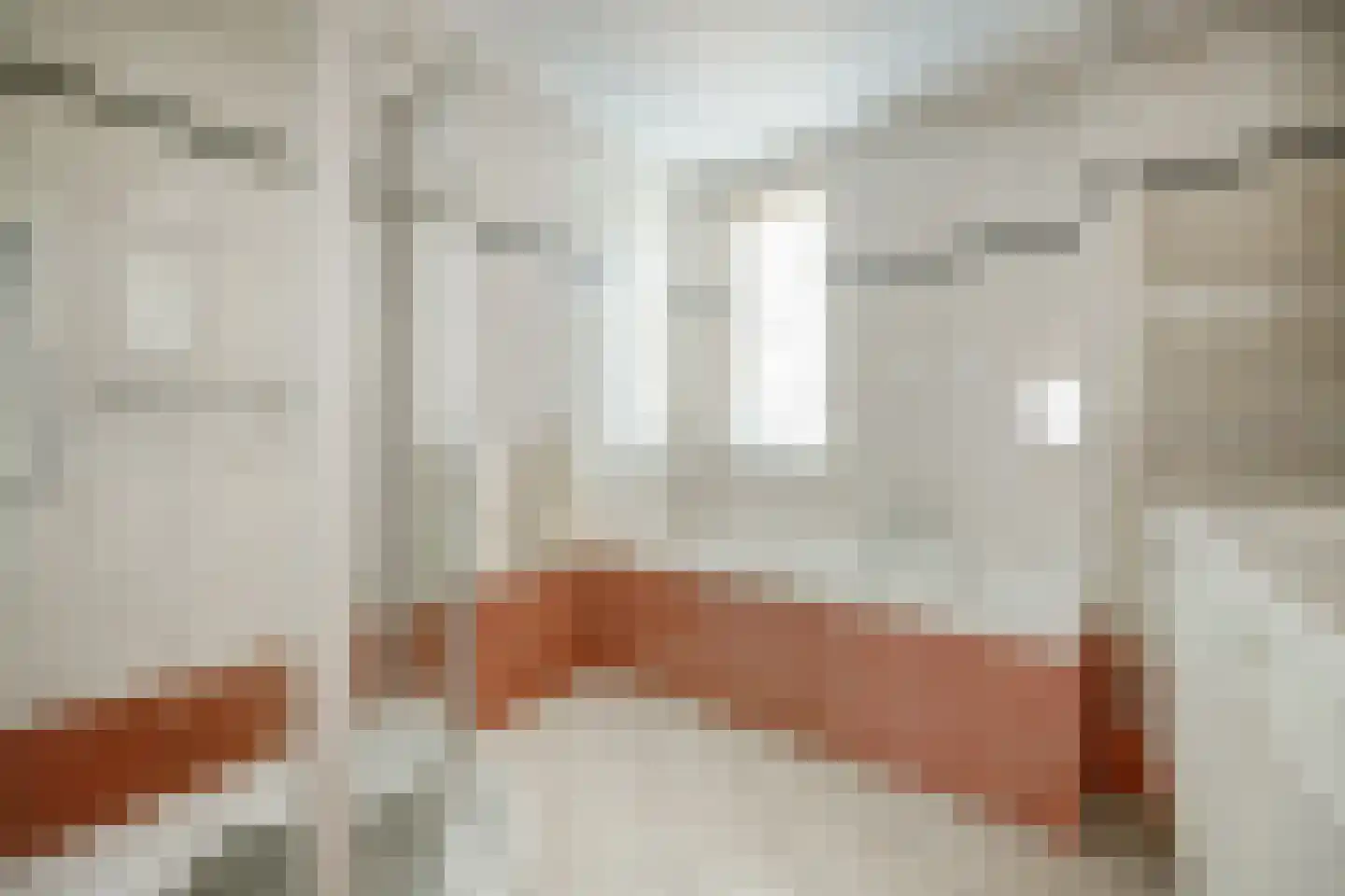 Mantelmeeuw 14 De Lier thumbnail 29