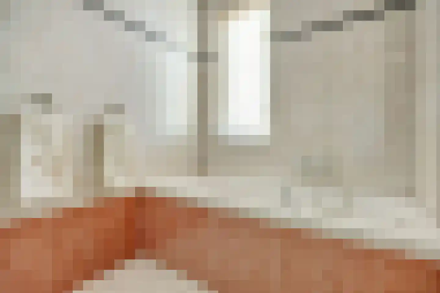 Mantelmeeuw 14 De Lier thumbnail 30