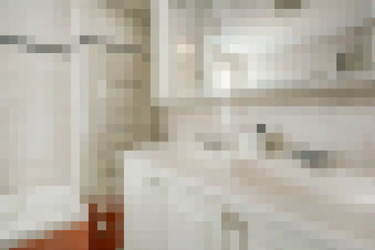 Mantelmeeuw 14 De Lier thumbnail 31