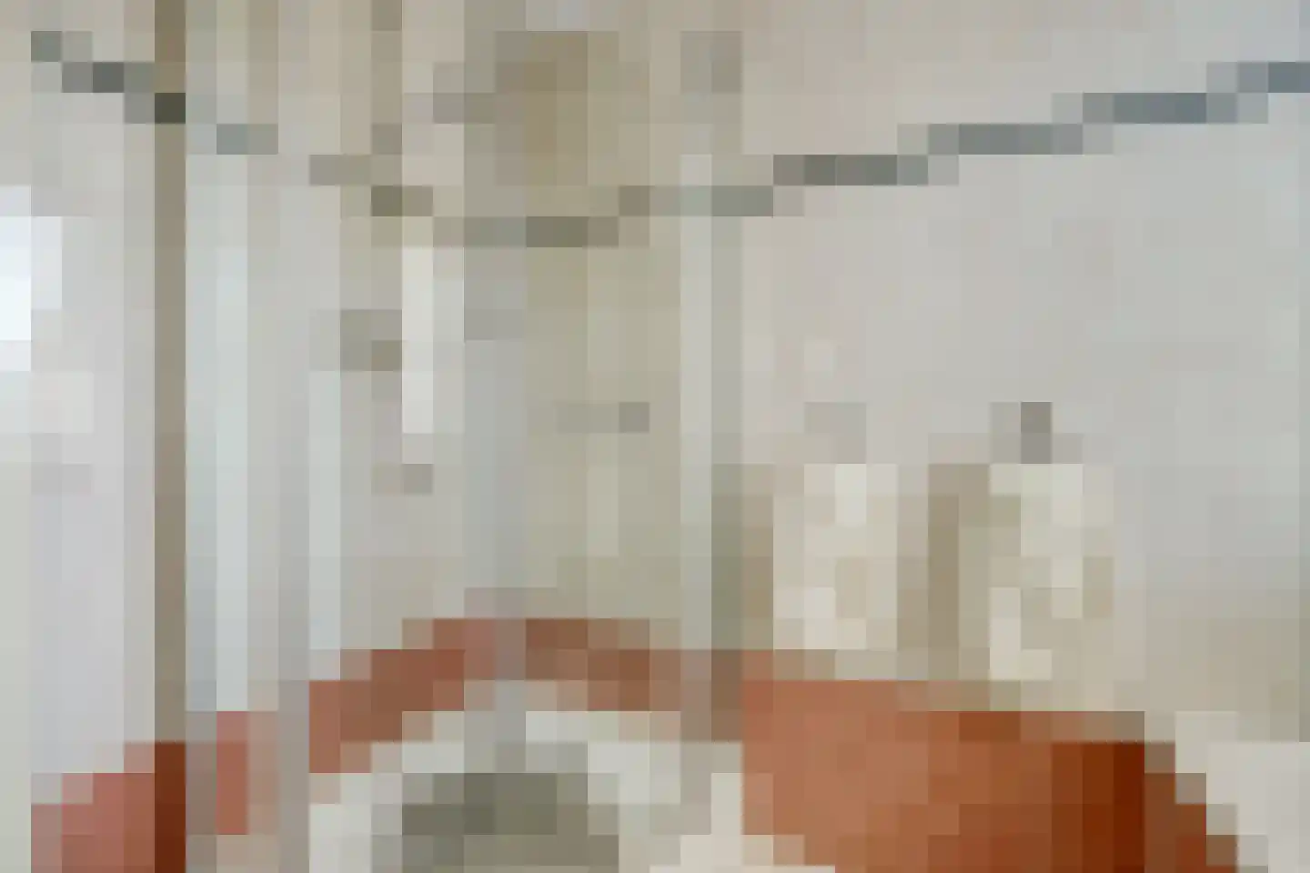 Mantelmeeuw 14 De Lier thumbnail 32