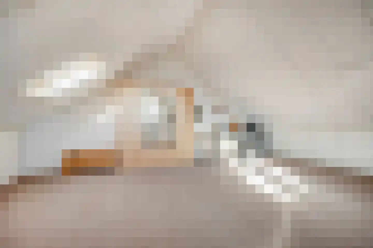 Mantelmeeuw 14 De Lier thumbnail 34