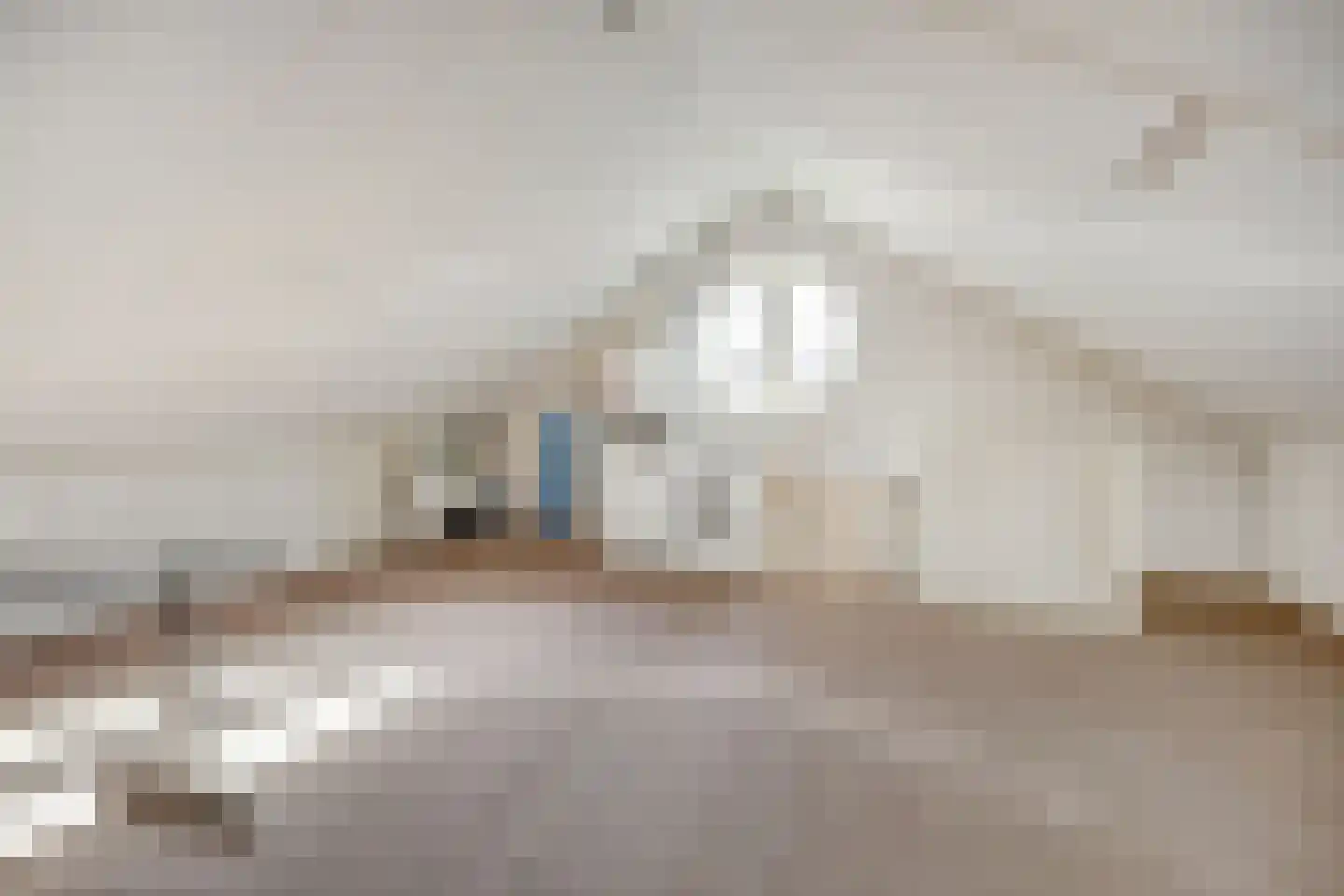 Mantelmeeuw 14 De Lier thumbnail 35