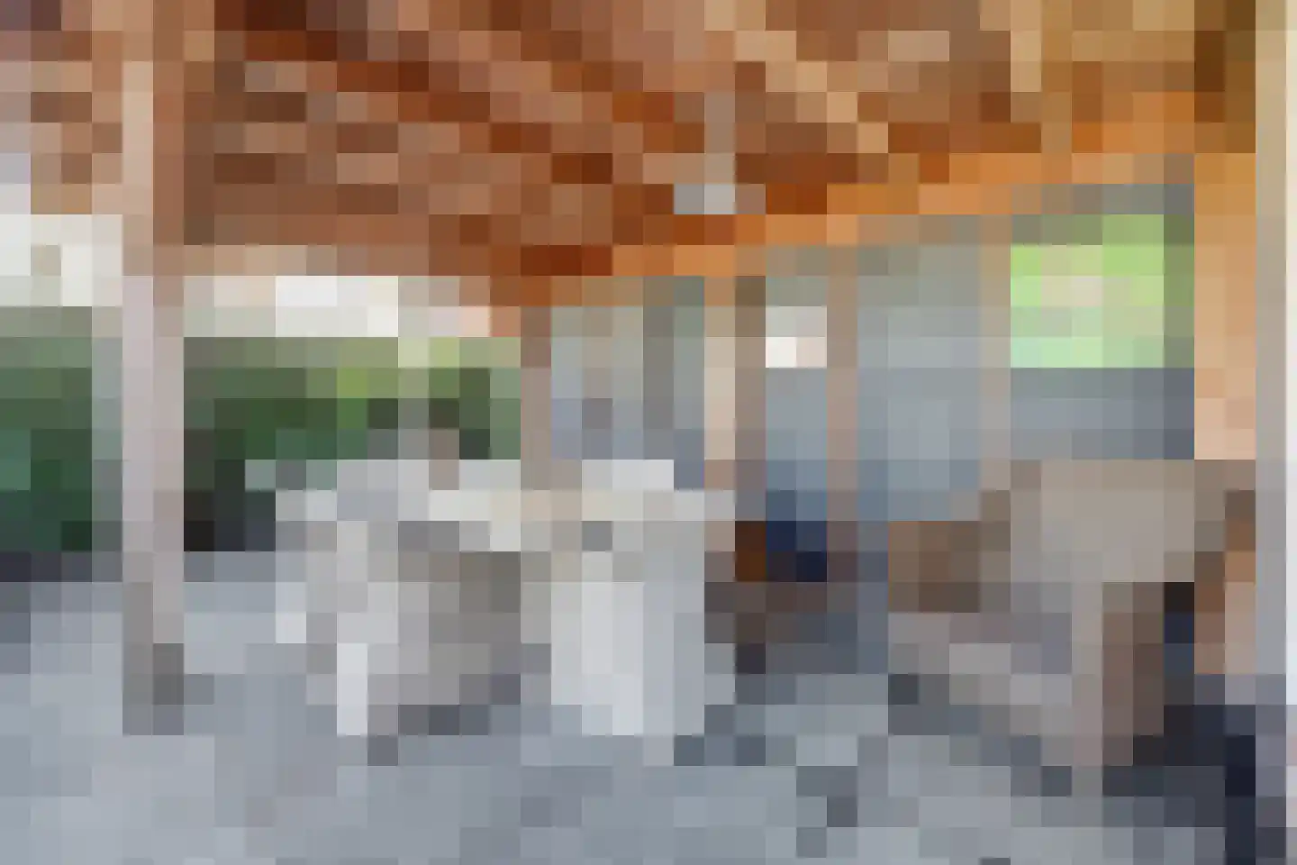 Mantelmeeuw 14 De Lier thumbnail 36
