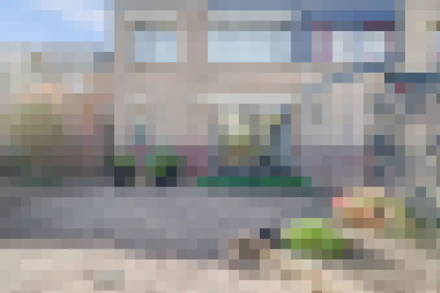 Mantelmeeuw 14 De Lier thumbnail 38