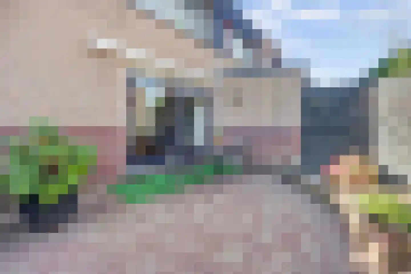 Mantelmeeuw 14 De Lier thumbnail 39
