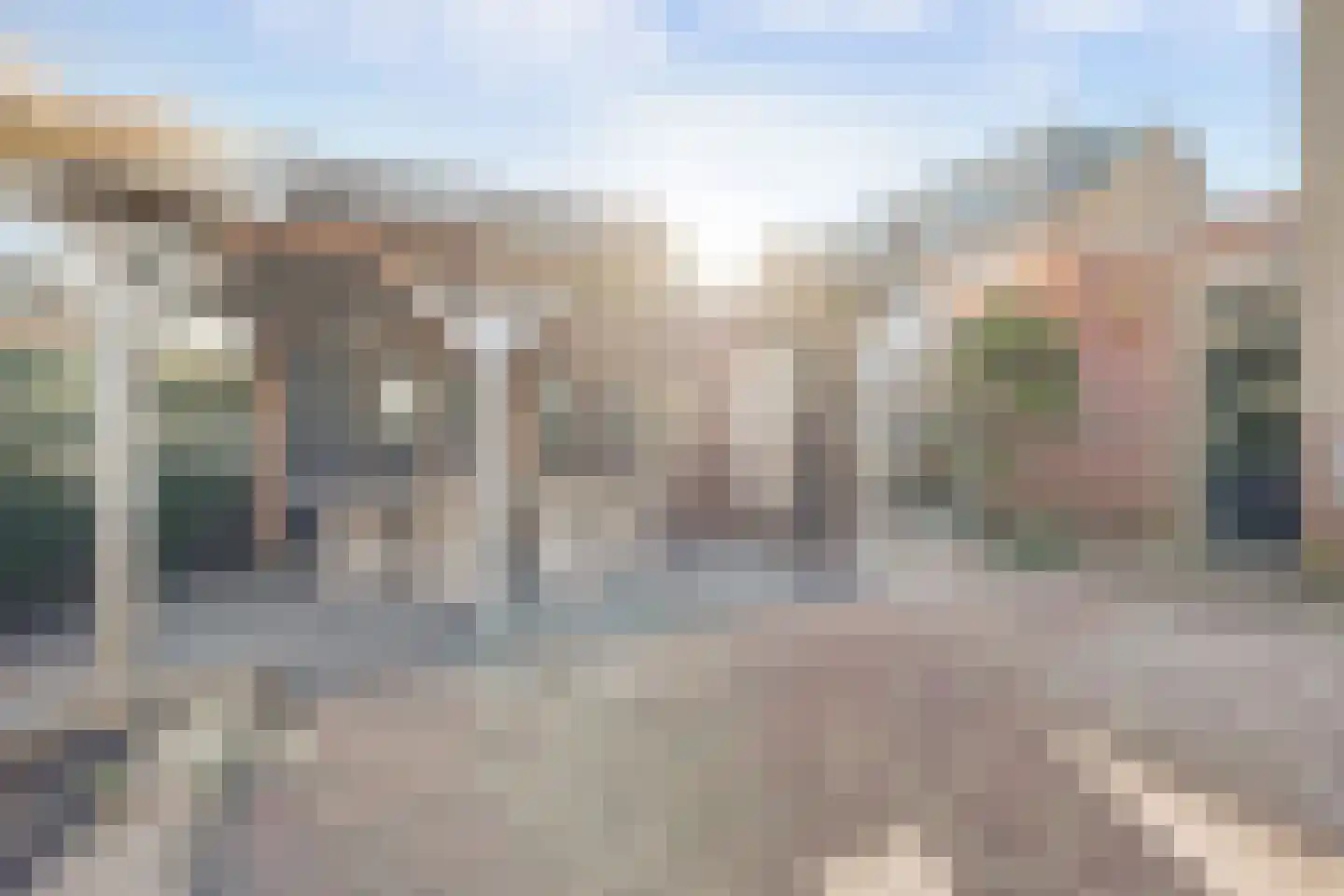 Mantelmeeuw 14 De Lier thumbnail 40