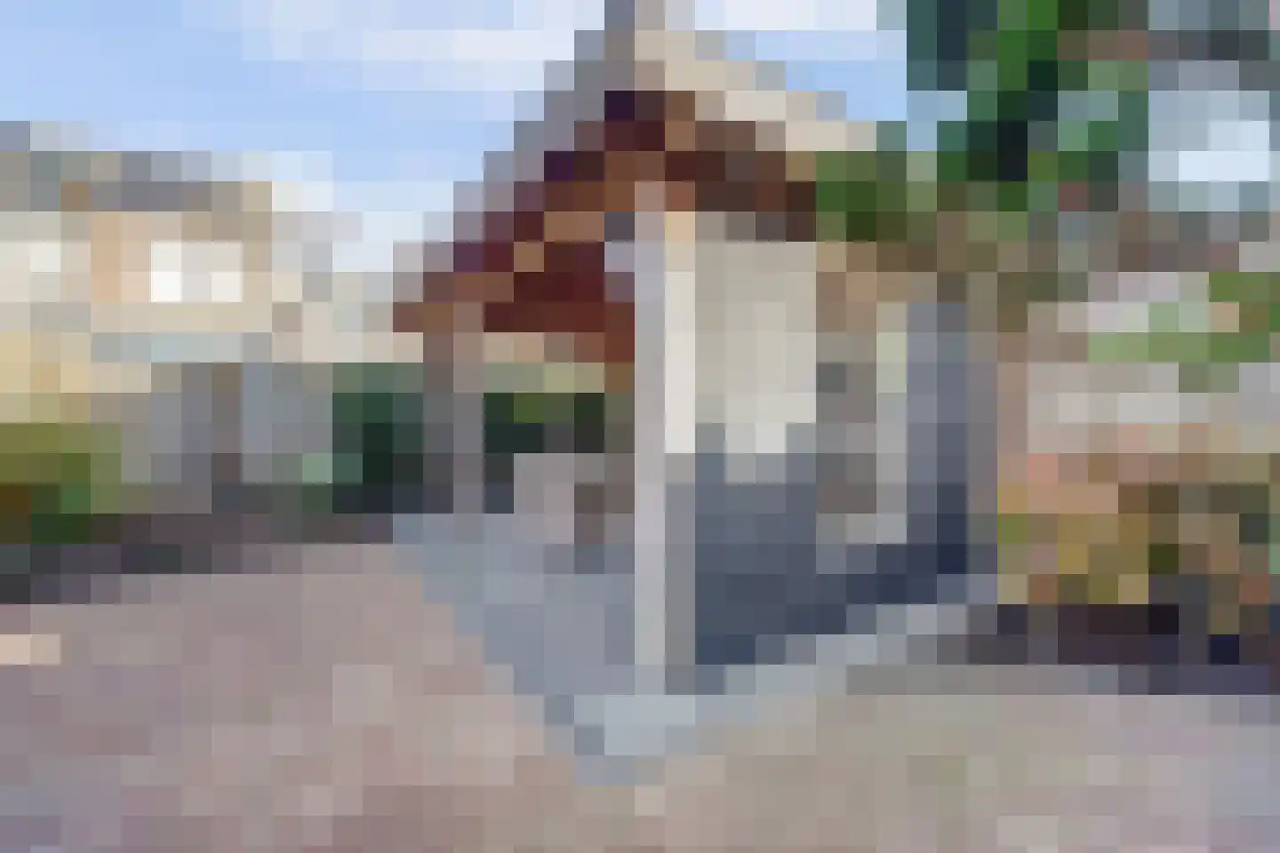 Mantelmeeuw 14 De Lier thumbnail 41