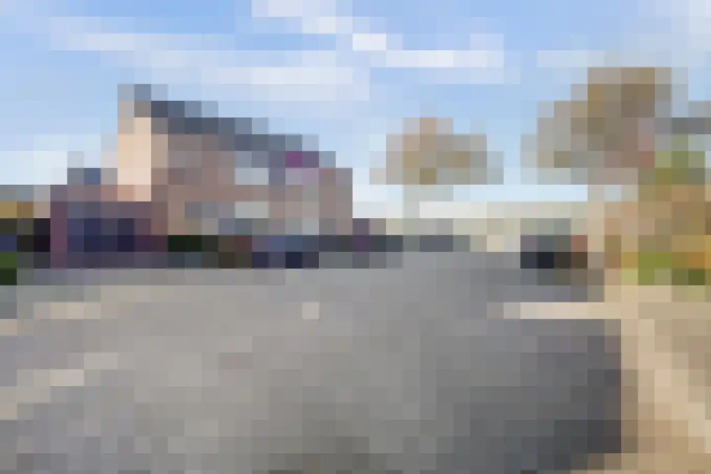 Mantelmeeuw 14 De Lier thumbnail 42