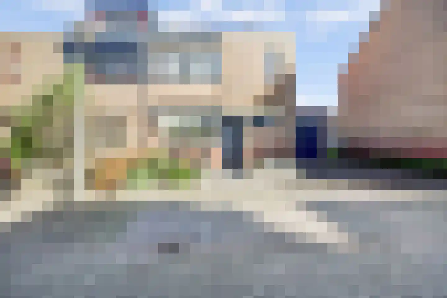 Mantelmeeuw 14 De Lier thumbnail 43
