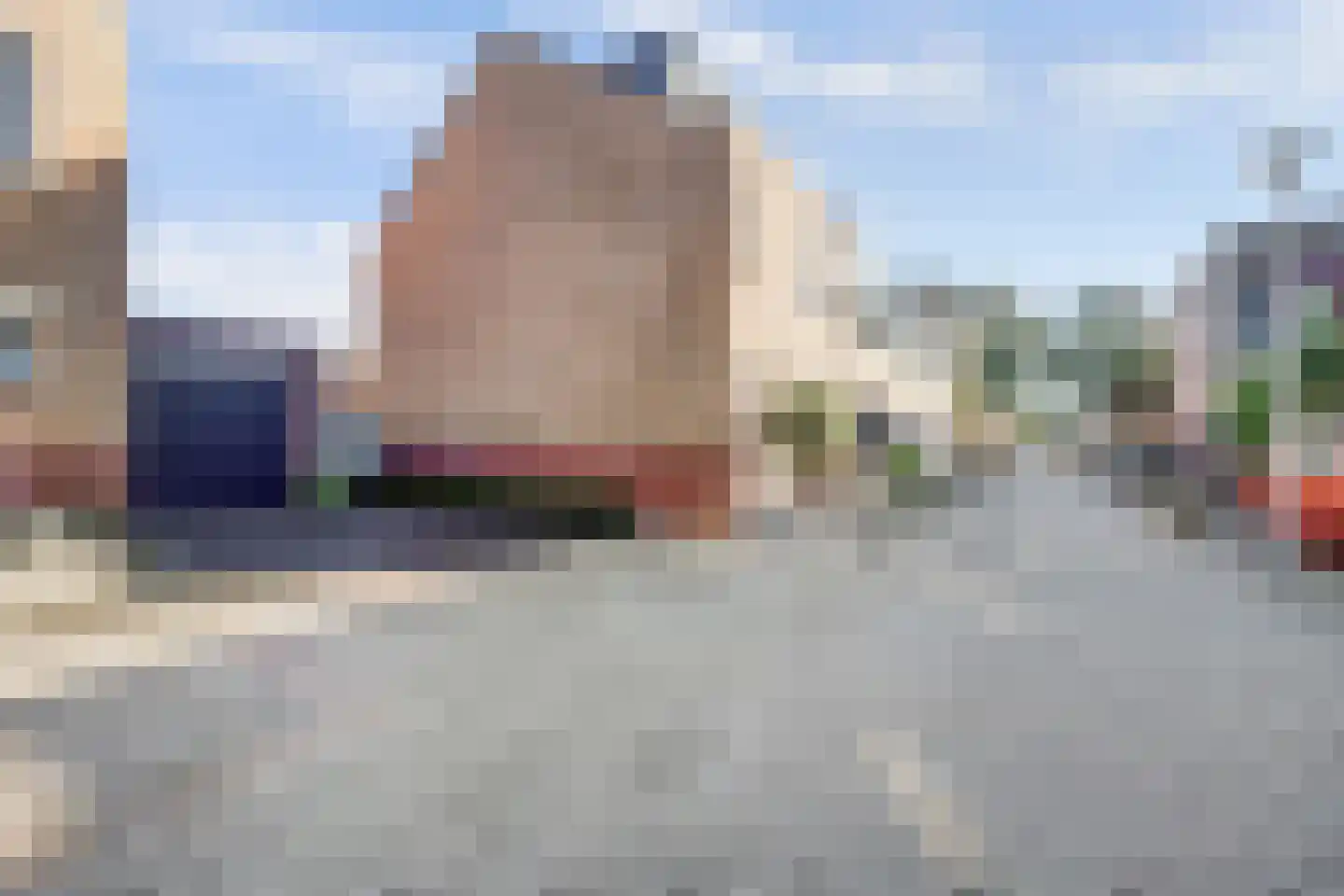 Mantelmeeuw 14 De Lier thumbnail 44