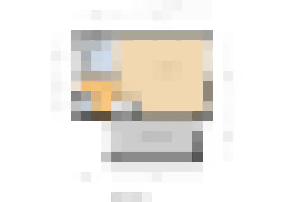 Mantelmeeuw 14 De Lier thumbnail 45