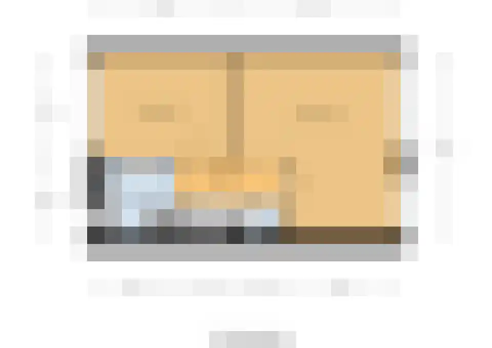 Mantelmeeuw 14 De Lier thumbnail 46