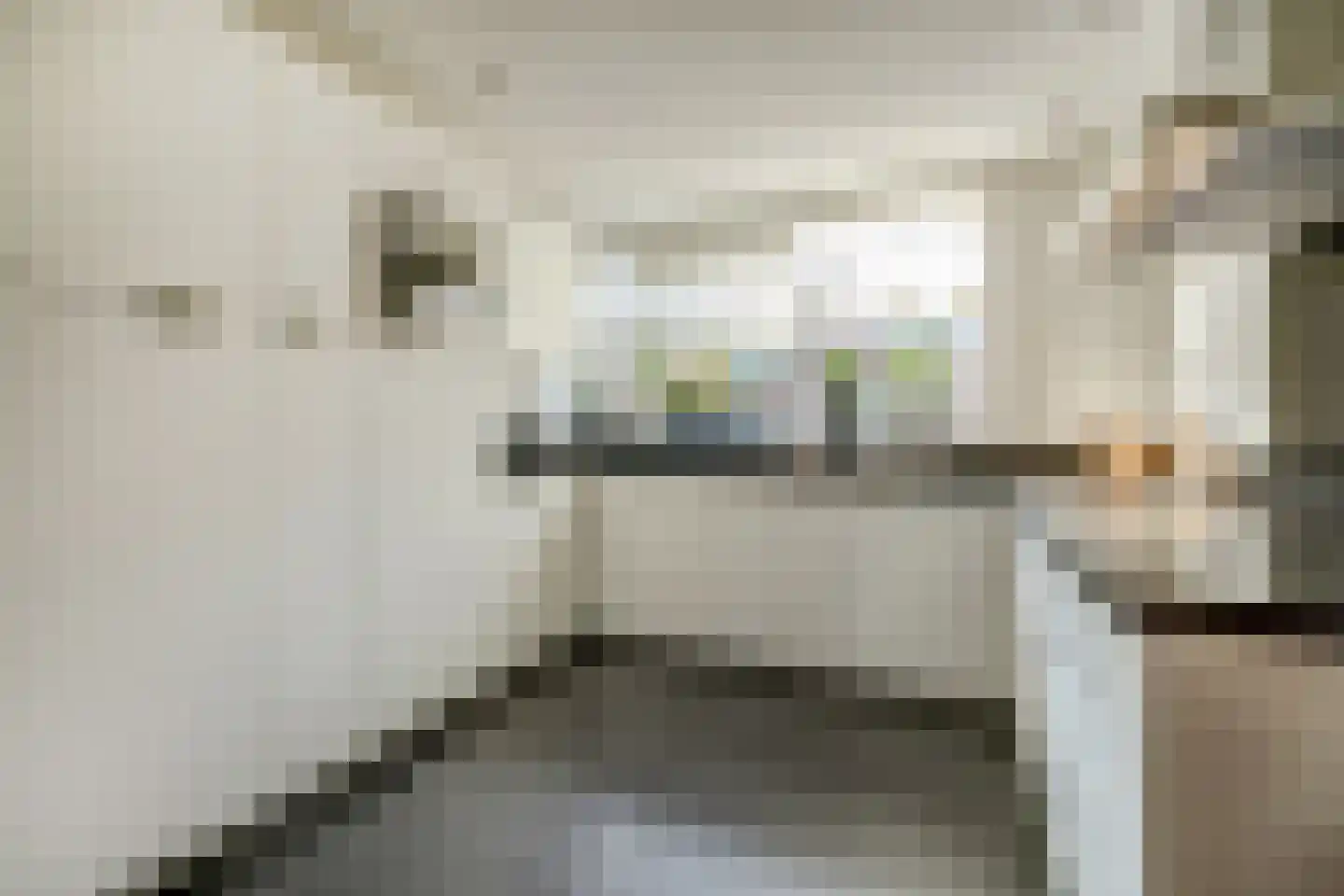 Mantelmeeuw 14 De Lier thumbnail 5