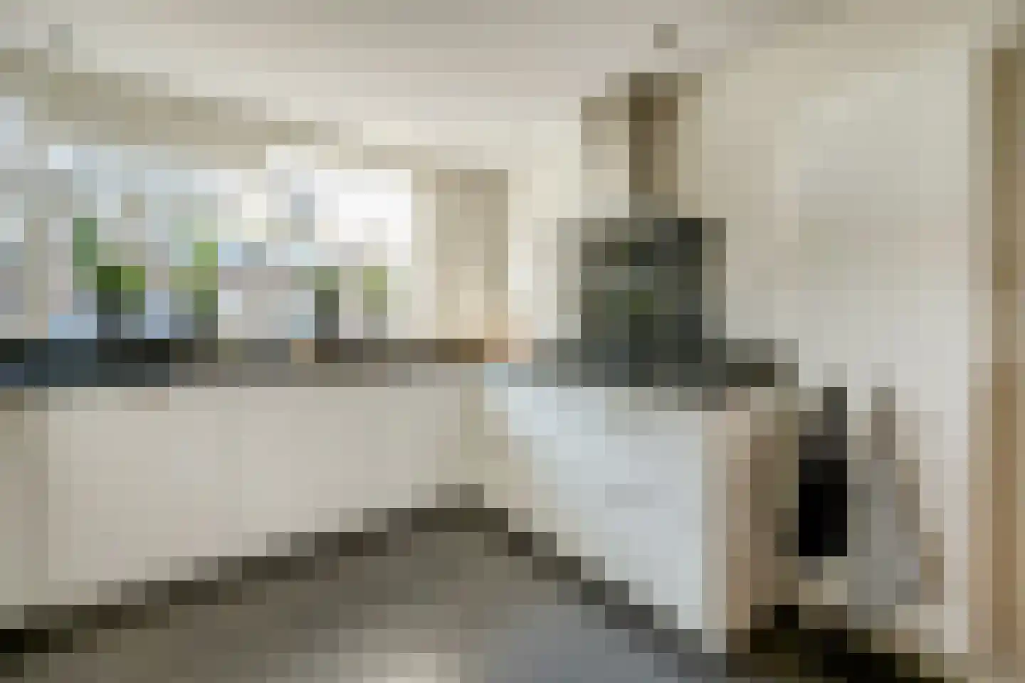 Mantelmeeuw 14 De Lier thumbnail 6