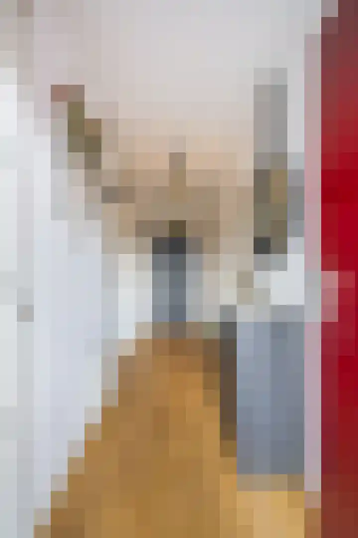 Mantelmeeuw 2 Weert thumbnail 10