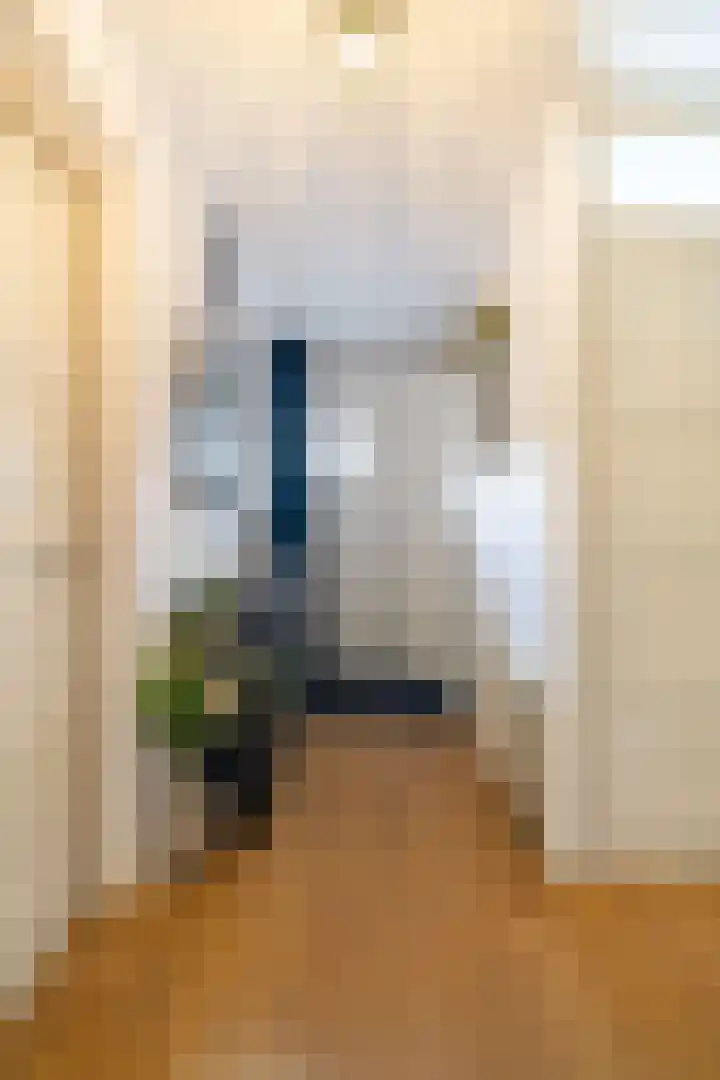Mantelmeeuw 2 Weert thumbnail 11