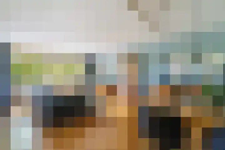Mantelmeeuw 2 Weert thumbnail 12