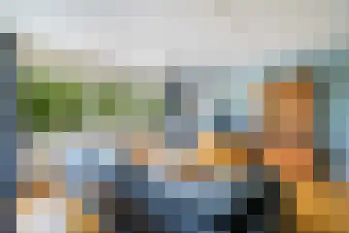 Mantelmeeuw 2 Weert thumbnail 14