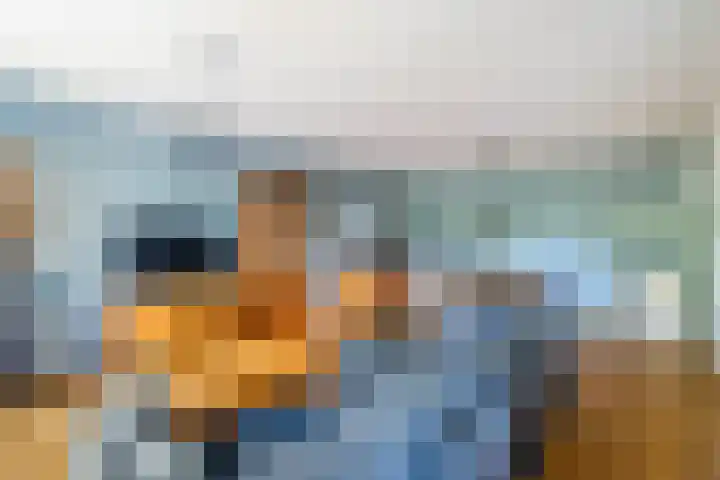 Mantelmeeuw 2 Weert thumbnail 15