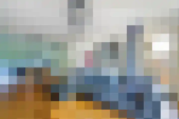 Mantelmeeuw 2 Weert thumbnail 16