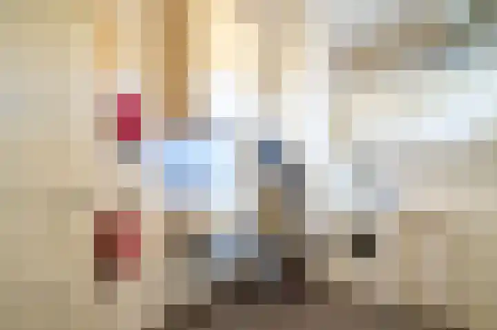 Mantelmeeuw 2 Weert thumbnail 18