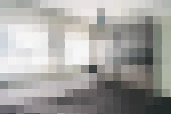 Mantelmeeuw 2 Weert thumbnail 20