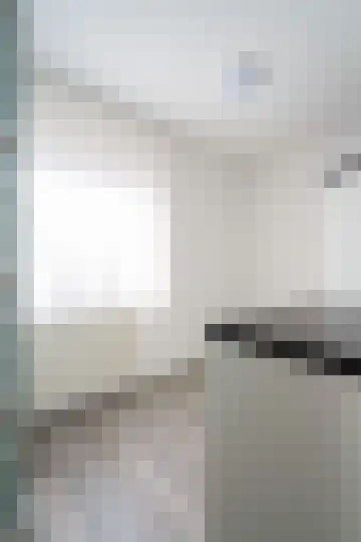 Mantelmeeuw 2 Weert thumbnail 21